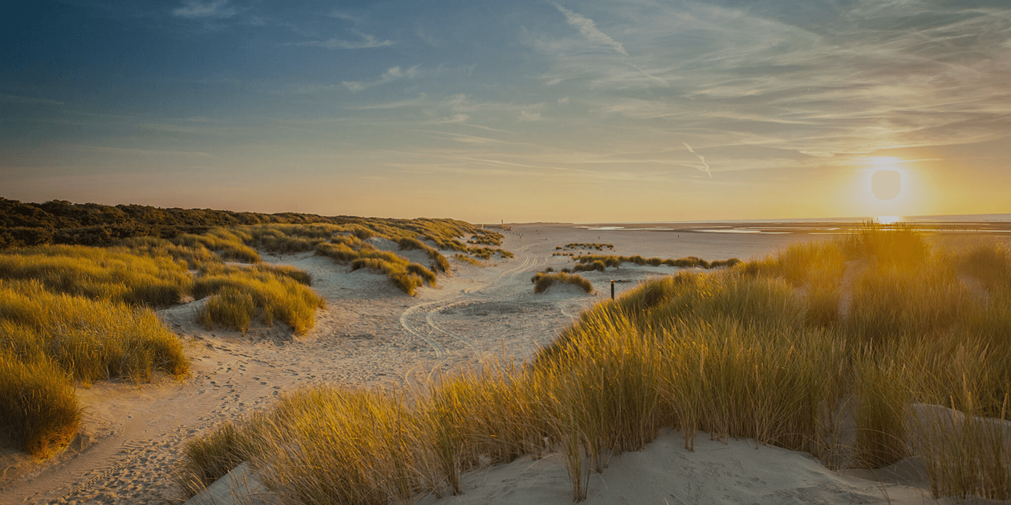 Achtergrond afbeelding